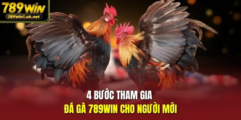 4 Bước tham gia đá gà 789WIN cho người mới