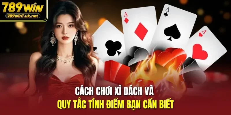Cách chơi xì dách và quy tắc tính điểm bạn cần biết
