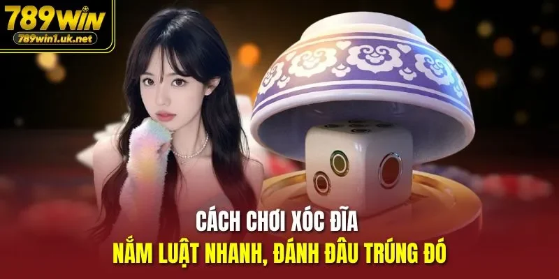 Cách chơi xóc đĩa