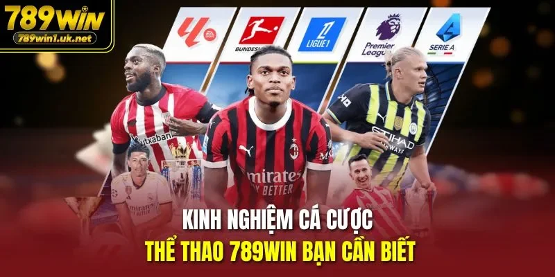 Kinh nghiệm cá cược Thể Thao 789WIN bạn cần biết