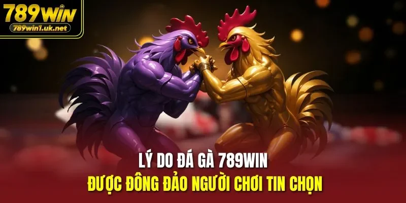 Lý do Đá Gà 789WIN được đông đảo người chơi tin chọn