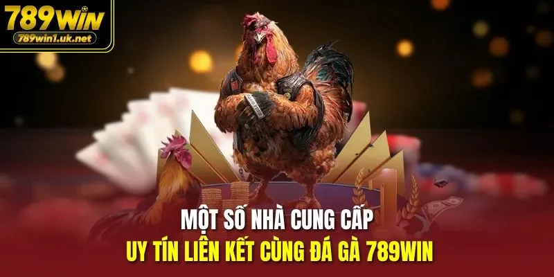 Một số nhà cung cấp uy tín liên kết cùng đá gà 789WIN