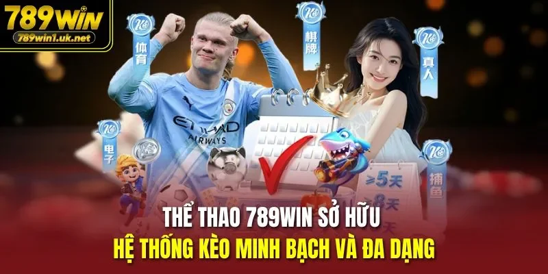 Thể Thao 789WIN sở hữu hệ thống kèo minh bạch và đa dạng