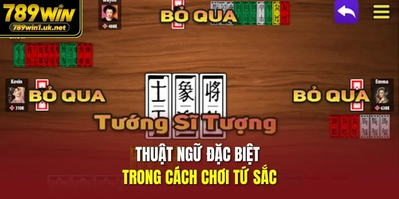 Thuật ngữ đặc biệt trong cách chơi tứ sắc